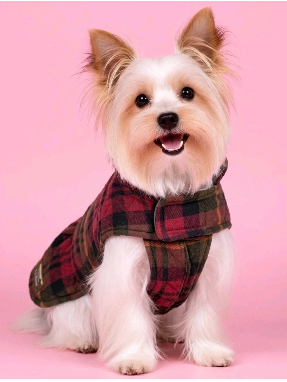 LL Bean Classic Canvas Cozy Plaid Flannel Reversible Field Coat for Dogs Medium